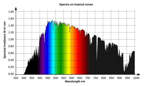 The Science of Light